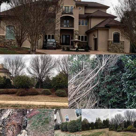 Meet your Posher, Kelli - Picture 6 of 8